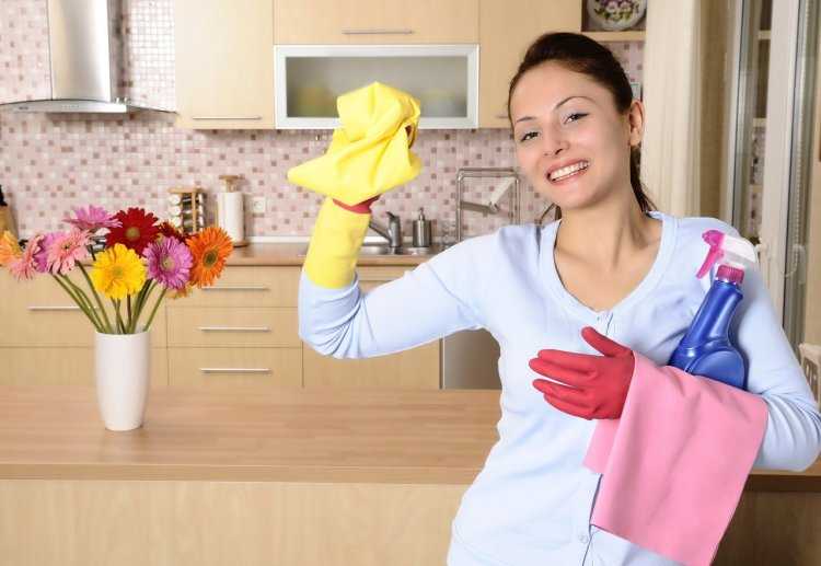 Домашние работники