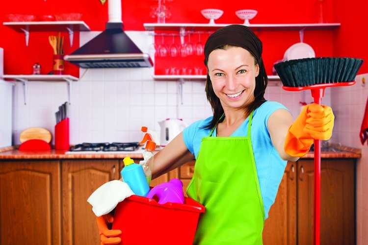 Уставшая от уборки хозяйка арт