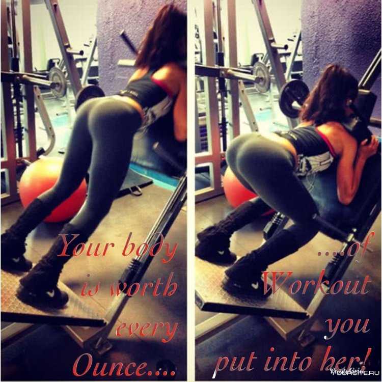 Попы в тренажерном зале