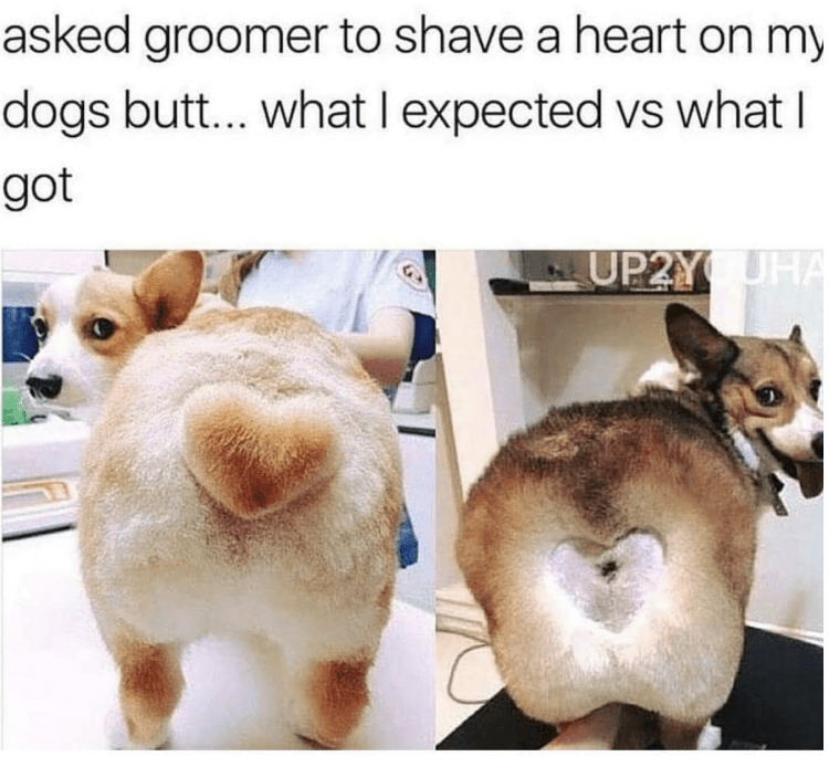 Собачка с сердечком на попе