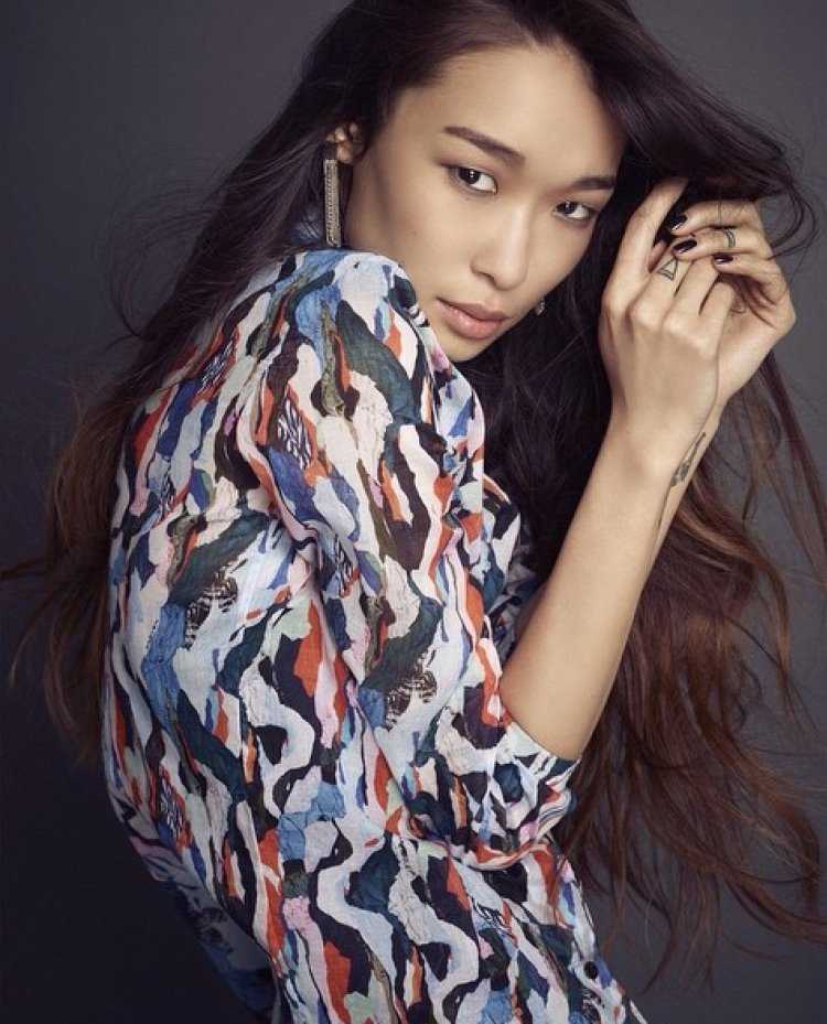 Казахстанская модель Бибисара