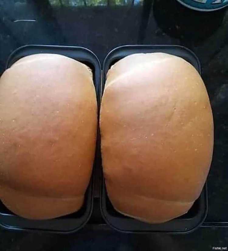 Кейтлин Райс butt