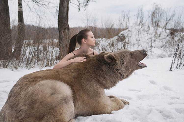 Русская девушка медведь и снег