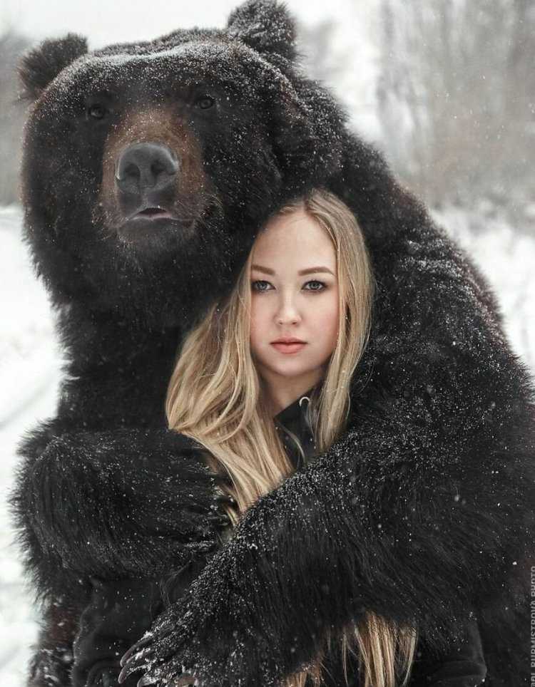 Вероника дичка и медведь