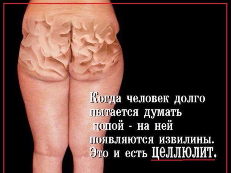 Целлюлит прикол