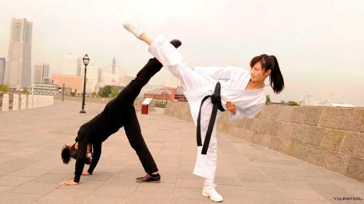 Каратистка фильм 2011