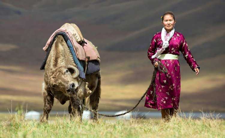 Толстая монголка12