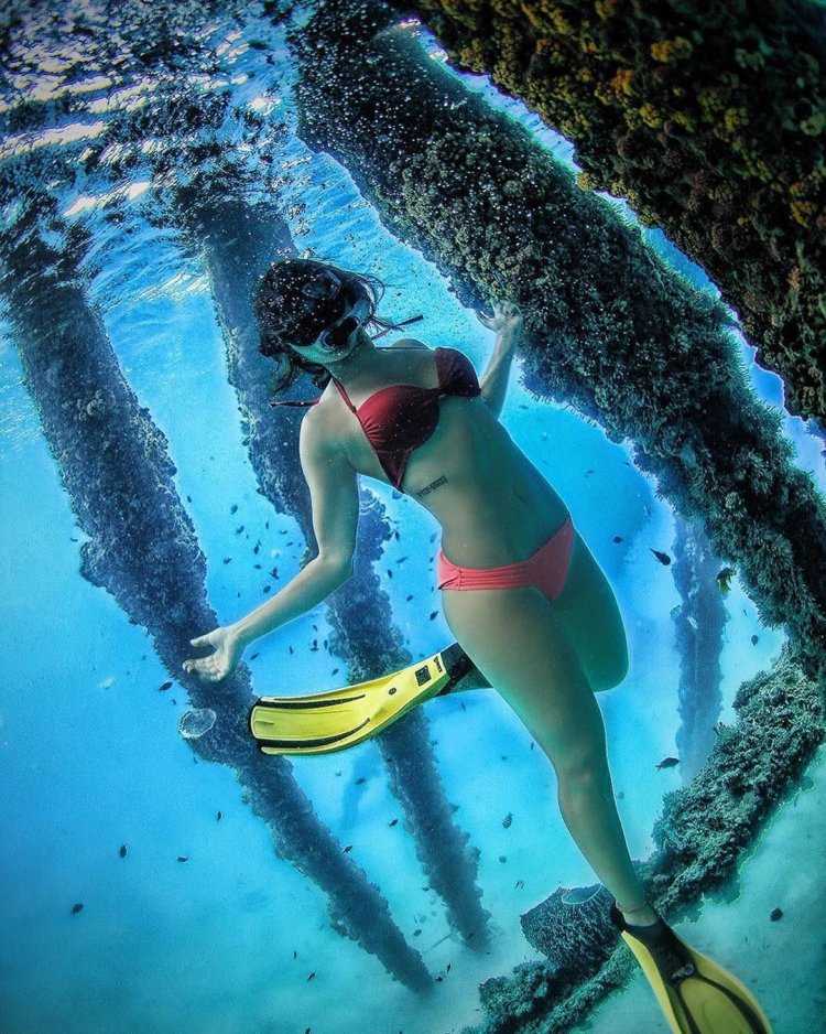 София Скуба