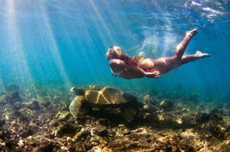 Подводные съемки океана