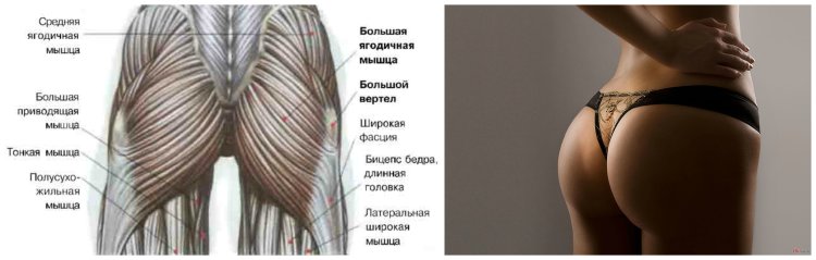 Попа без лица