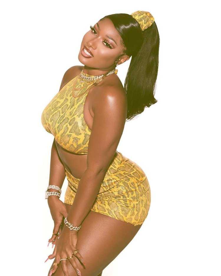 Megan the Stallion горячие