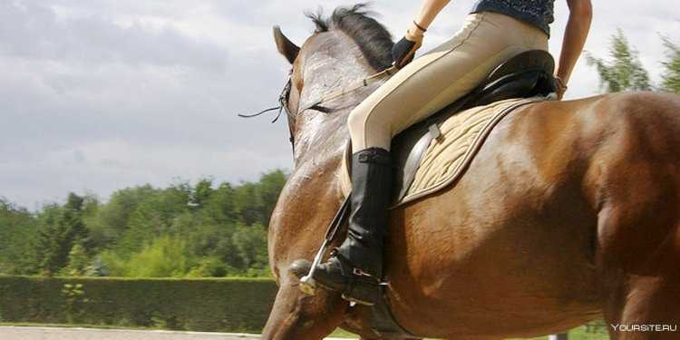 Верхом на лошади сзади