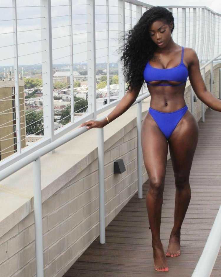 Модель Биг Блэк эбони