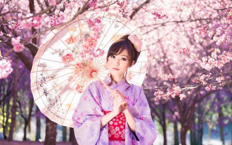Япония Сакура гейша