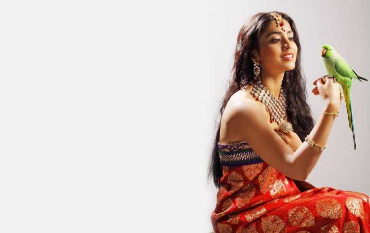 Женщины Индии Шрия Саран