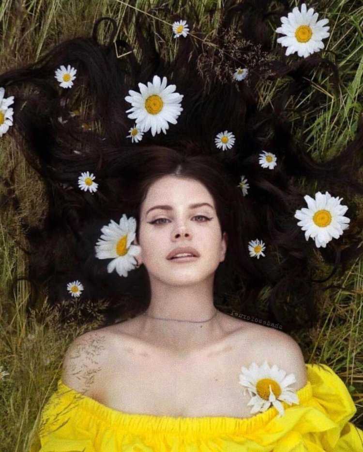 Лана дель Рей Эстетика