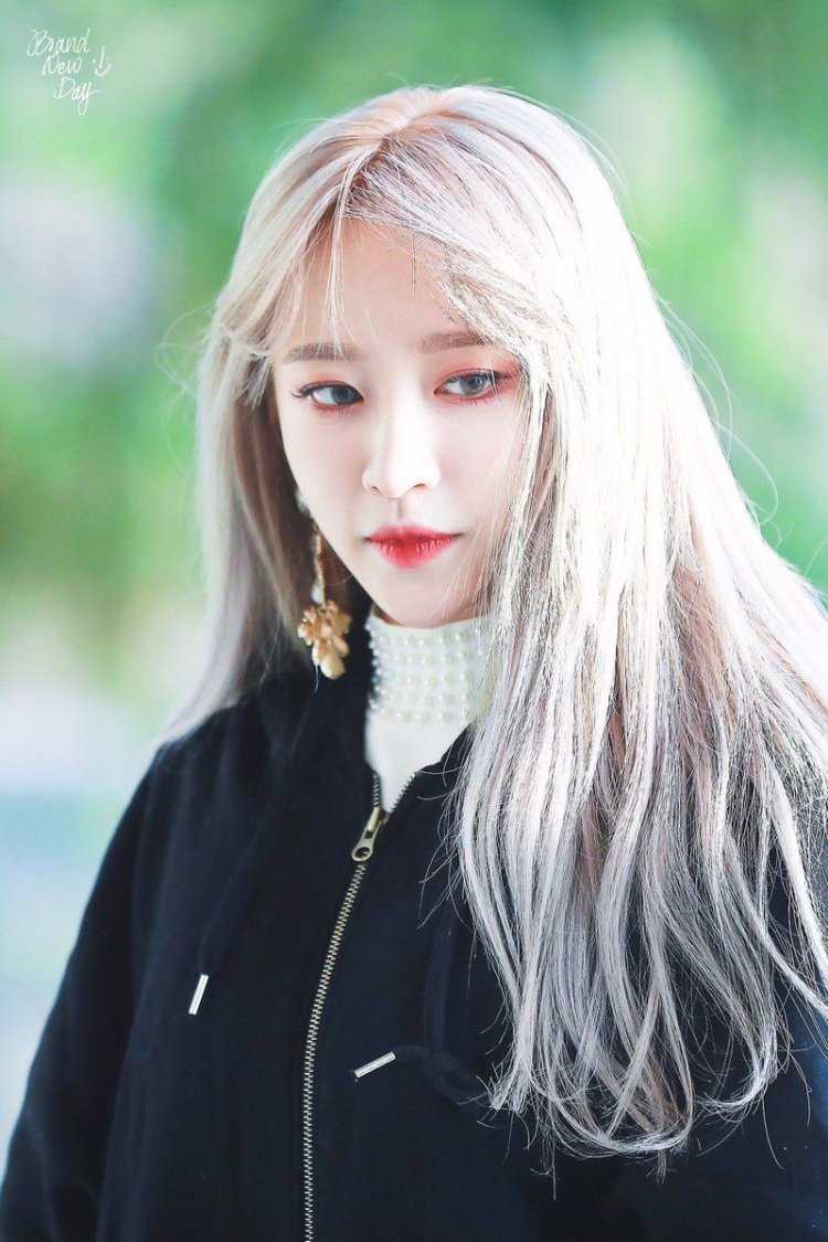 Хани Эксид Эстетика