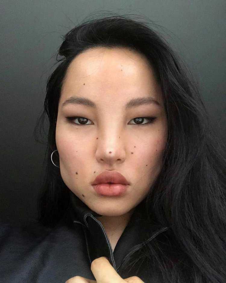 Модель Цунайна