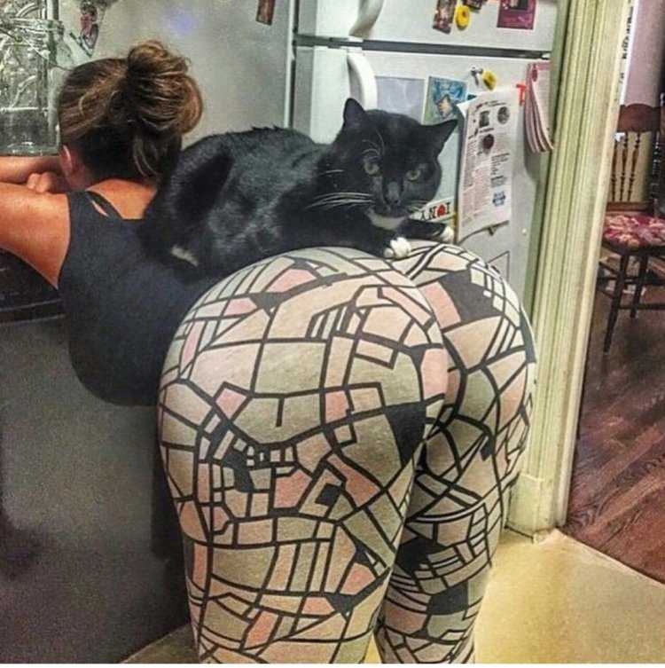 Котик на попе девушки