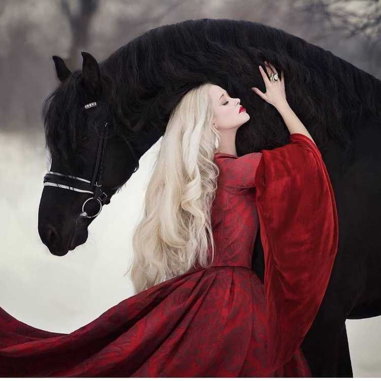 Ольга Бажутова фотограф лошадей