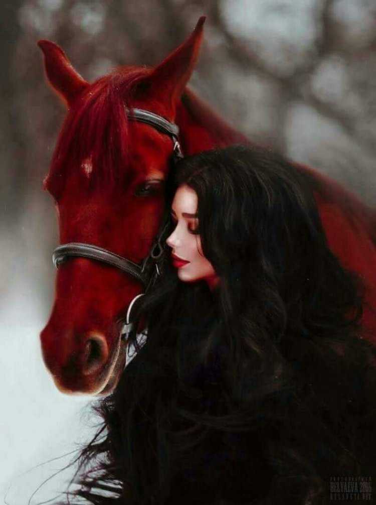 Красивые девушки и кони