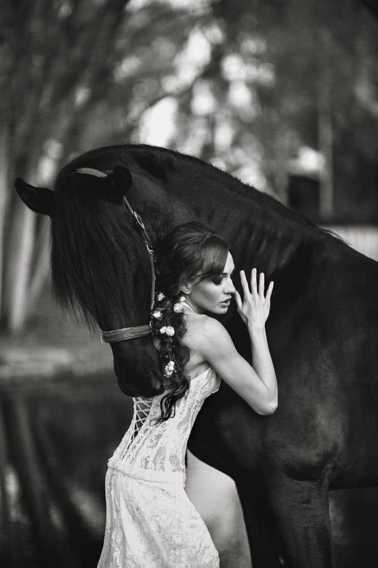 Красивые девушки и кони