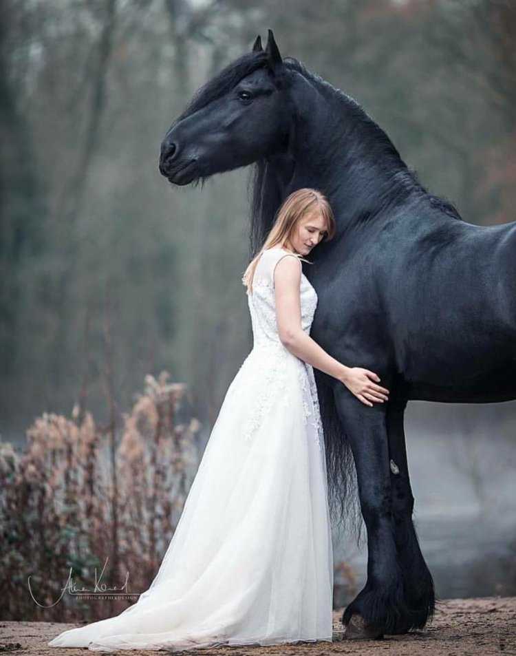 Необычные фотосессии с лошадьми
