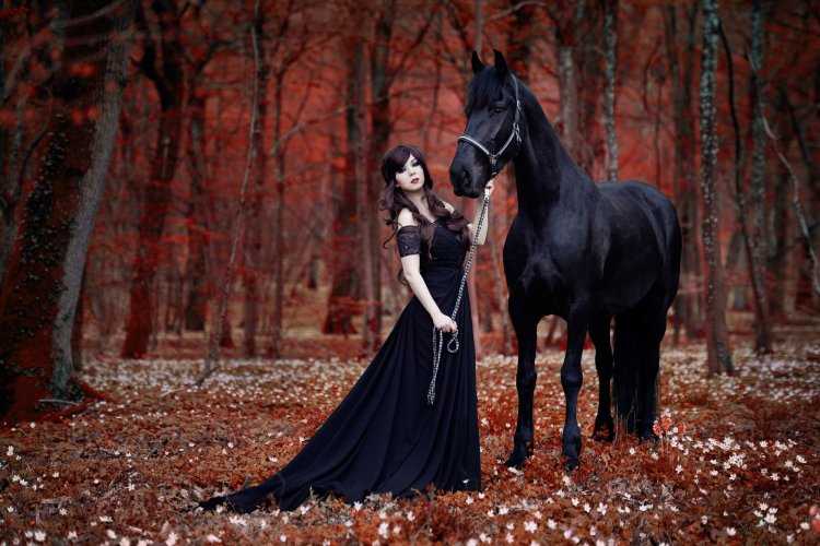 Готическая фотосессия с лошадью