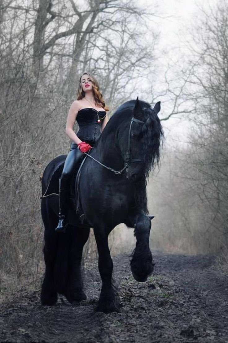 Девушка с черным конем