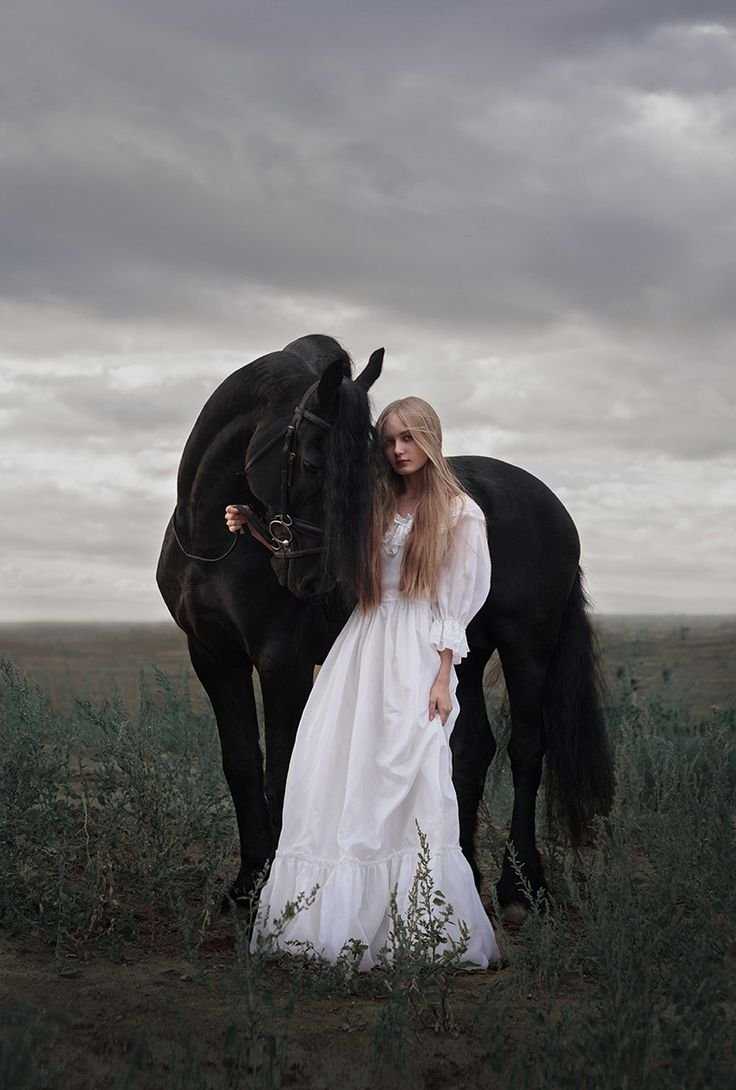 Фотосессия с черной лошадью
