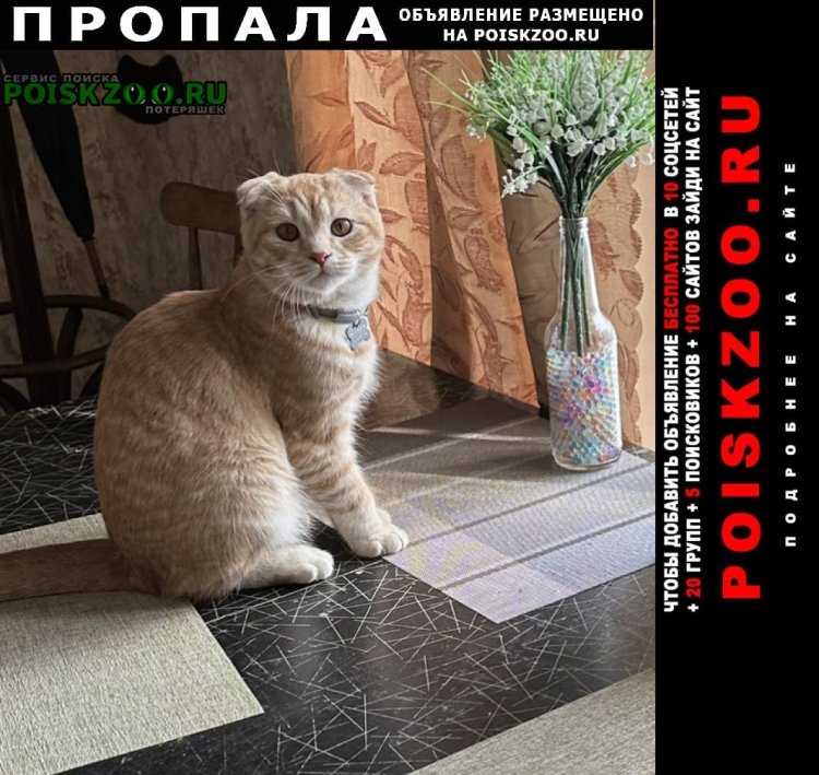 Рыжая гречанка17