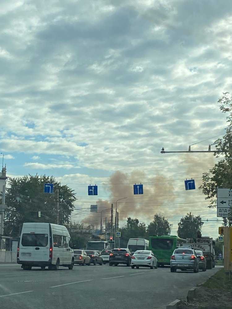 Рыжая узбечка5