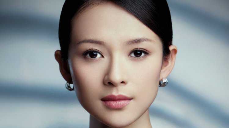 Фань Бинбин стиль