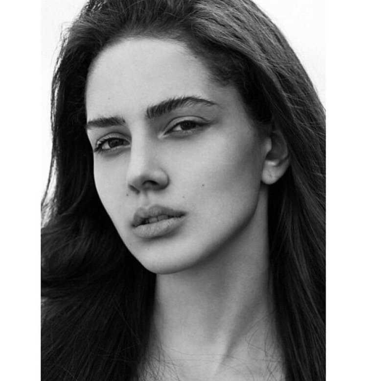 Тако Нацвлишвили модель