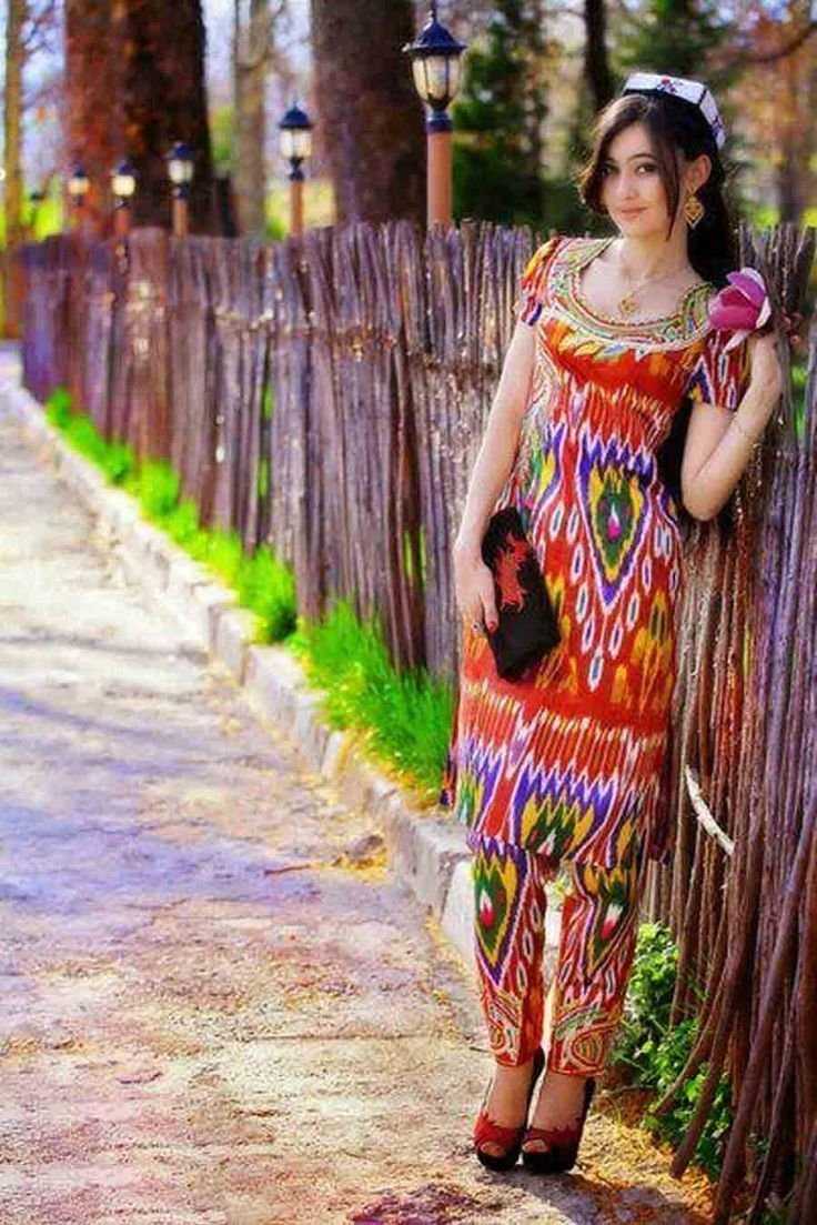 Куртаи чакан Попович