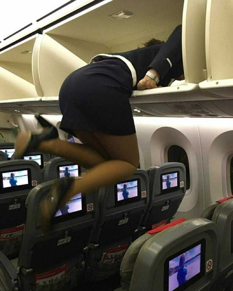 Красивые попки стюардесс