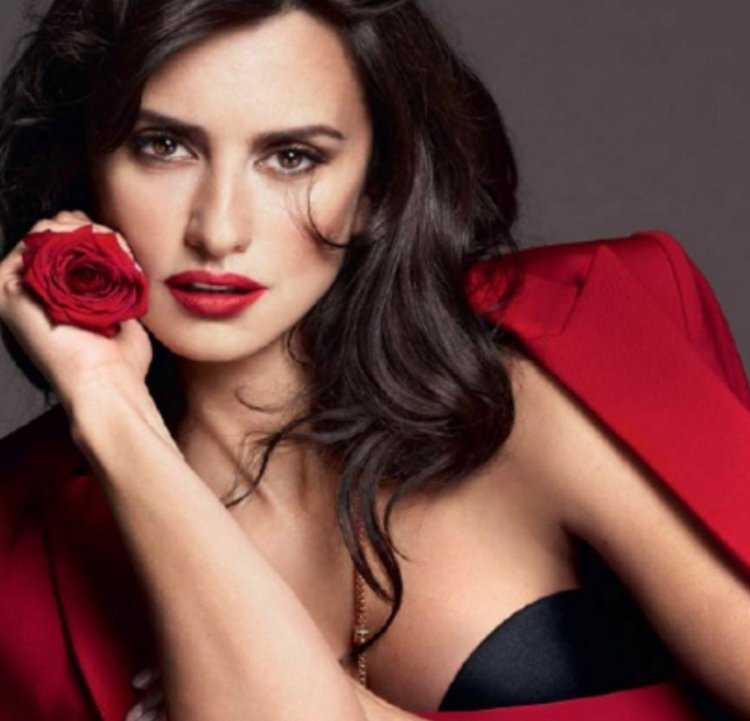 Пенелопа Крус кудри