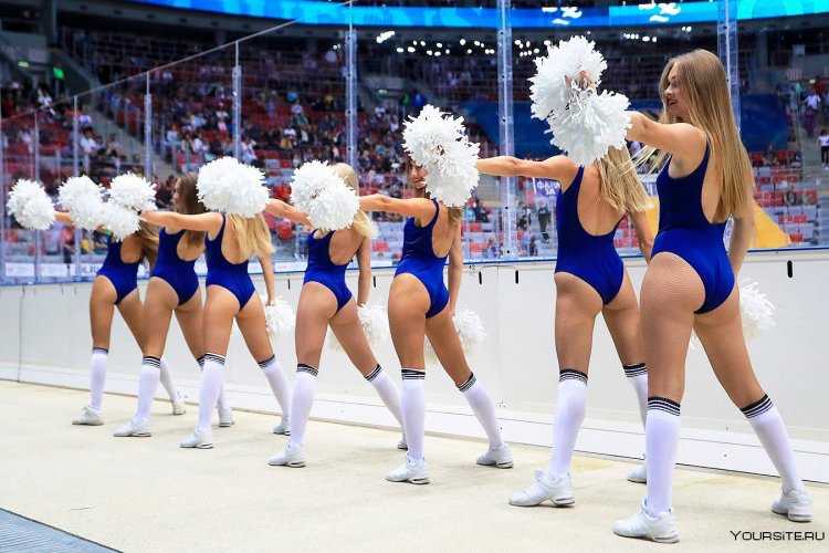 Черлидерши хк Сочи