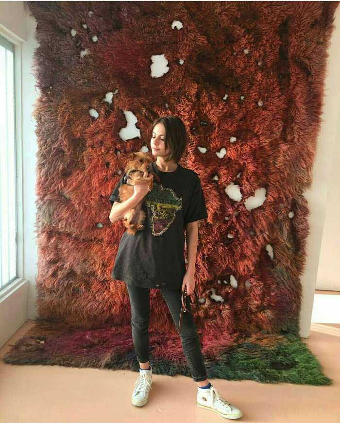 Уилла Холланд на фото