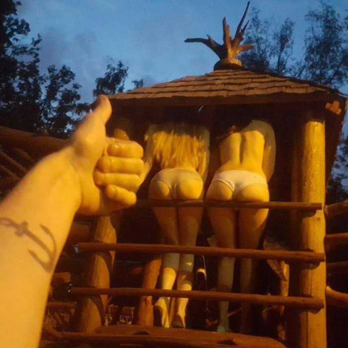 Сочные губки на фото