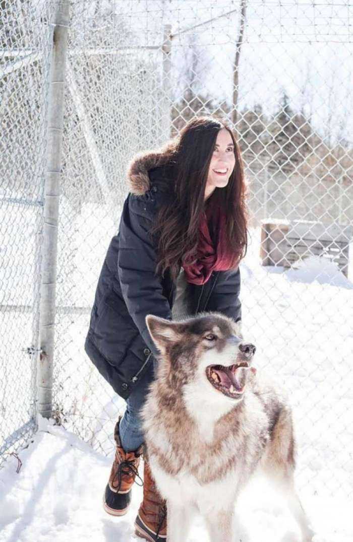 Волки и девушки на фото