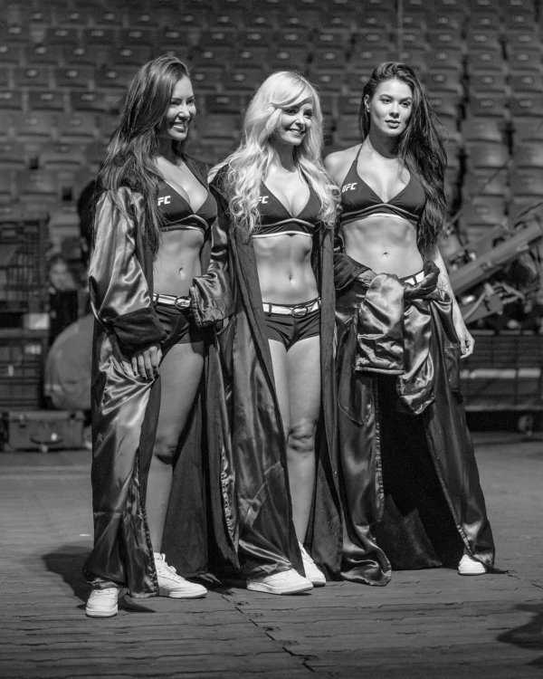 Девушки из Октагон-герлз UFC на фото