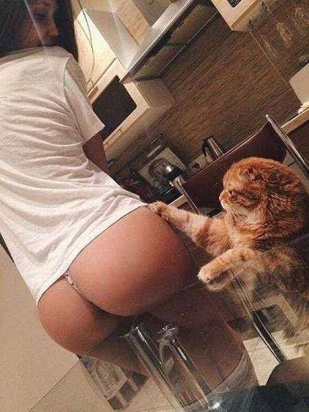 Забавные девушки