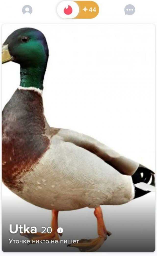 Люди желают познакомиться в сервисах знакомств на фото от maramasas666