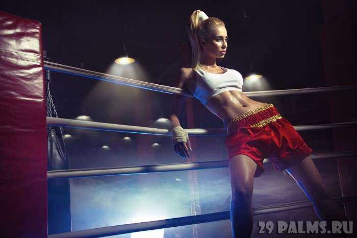 Боксерши на фото