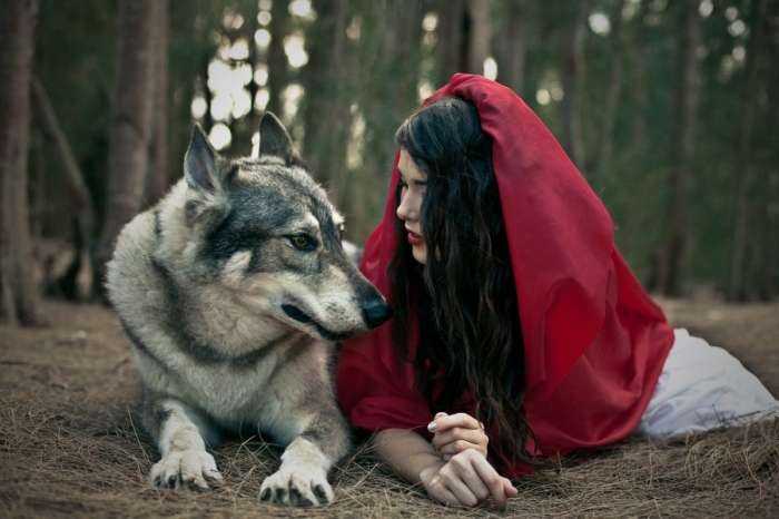 Волки и девушки на фото