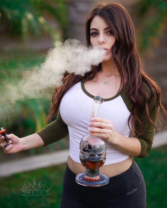 Гламурные телочки на фото