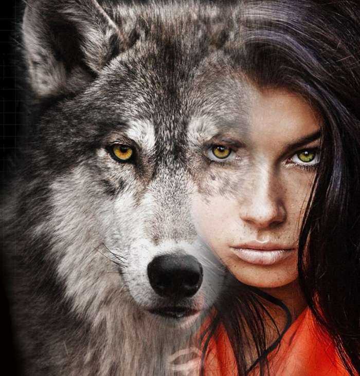 Волки и девушки на фото