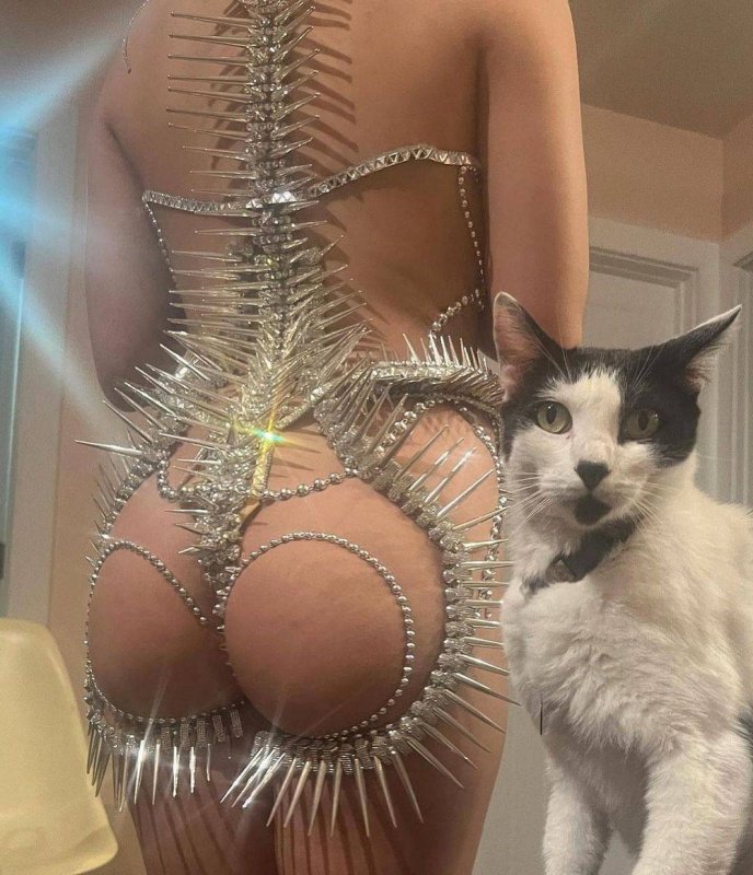 Фото приколы с девушками